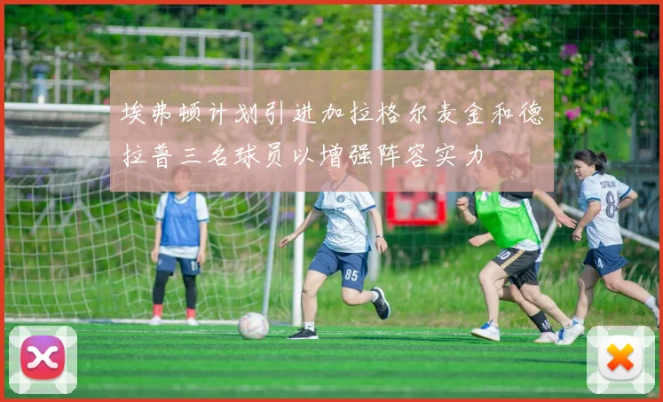 埃弗顿计划引进加拉格尔麦金和德拉普三名球员以增强阵容实力